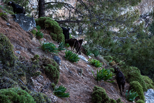 Fotos-Trekking-Lykischer-Weg-Türkei
