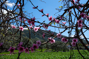 Fotos-Trekking-Lykischer-Weg-Türkei