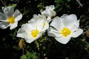 Fotos-Trekking-Lykischer-Weg-Türkei