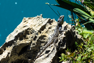 Fotos-Trekking-Lykischer-Weg-Türkei