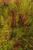 Fotos-Expedition-Polarural-Russland