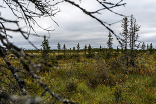 Fotos-Expedition-Polarural-Russland