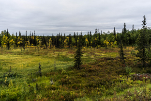 Fotos-Expedition-Polarural-Russland