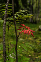 Fotos-Expedition-Polarural-Russland