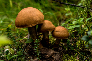 Fotos-Expedition-Polarural-Russland