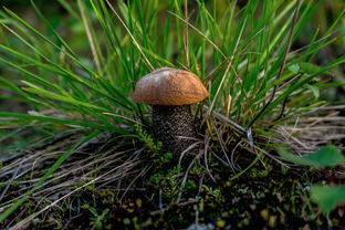 Fotos-Expedition-Polarural-Russland