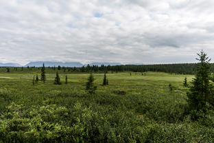 Fotos-Expedition-Polarural-Russland