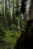 Fotos-Expedition-Polarural-Russland