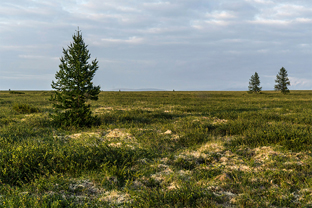 Fotos-Expedition-Polarural-Russland