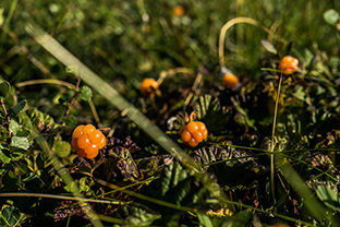 Fotos-Expedition-Polarural-Russland