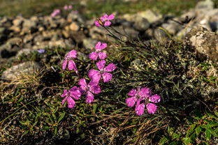 Fotos-Expedition-Polarural-Russland