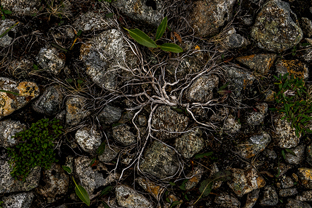 Fotos-Expedition-Polarural-Russland