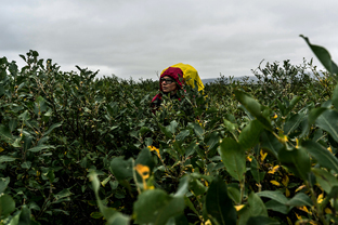 Fotos-Expedition-Polarural-Russland