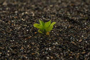 Fotos-Expedition-Polarural-Russland