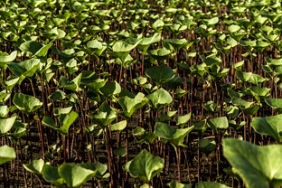 Fotos-Expedition-Polarural-Russland