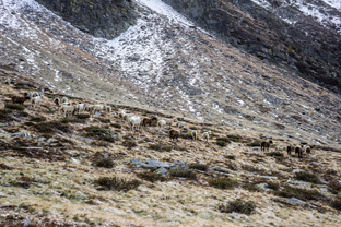 Fotos-Via-alta-della-Verzasca
