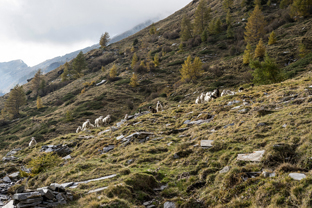 Fotos-Via-alta-della-Verzasca