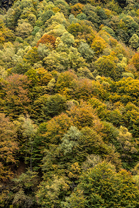 Fotos-Via-alta-della-Verzasca