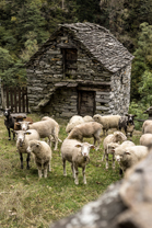 Fotos-Via-alta-della-Verzasca