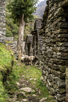 Fotos-Via-alta-della-Verzasca