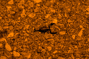 Fotos-Via-alta-della-Verzasca