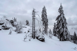 Fotos-Bayerischer-Wald-Winter