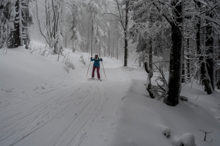 Fotos-Bayerischer-Wald-Winter