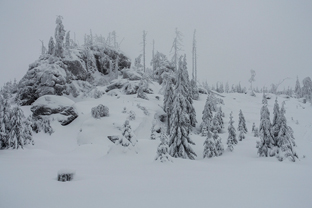 Fotos-Bayerischer-Wald-Winter