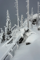 Fotos-Bayerischer-Wald-Winter