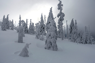 Fotos-Bayerischer-Wald-Winter