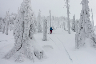 Fotos-Bayerischer-Wald-Winter