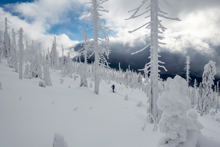 Fotos-Bayerischer-Wald-Winter