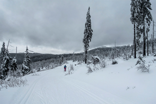 Fotos-Bayerischer-Wald-Winter