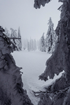 Fotos-Bayerischer-Wald-Winter