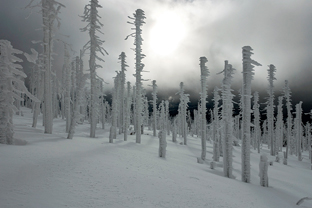 Fotos-Bayerischer-Wald-Winter