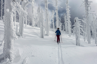 Fotos-Bayerischer-Wald-Winter