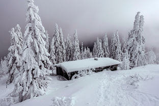 Fotos-Bayerischer-Wald-Winter
