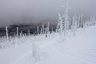Fotos-Bayerischer-Wald-Winter