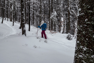 Fotos-Bayerischer-Wald-Winter