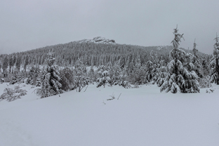 Fotos-Bayerischer-Wald-Winter