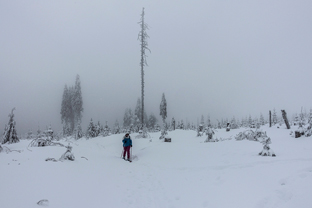 Fotos-Bayerischer-Wald-Winter