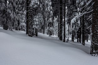 Fotos-Bayerischer-Wald-Winter