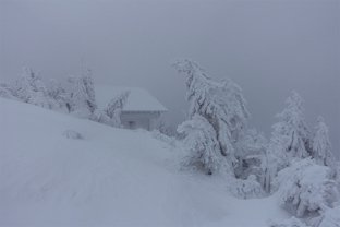 Fotos-Bayerischer-Wald-Winter