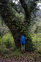 Fotos-Griechenland-Zagoria-Meteora