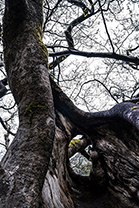 Fotos-Griechenland-Zagoria-Meteora