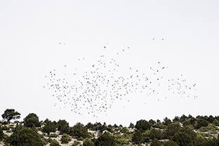 Fotos-Griechenland-Zagoria-Meteora