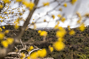 Fotos-Griechenland-Zagoria-Meteora