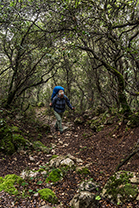 Fotos-Griechenland-Zagoria-Meteora