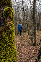 Fotos-Griechenland-Zagoria-Meteora