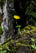 Fotos-Griechenland-Zagoria-Meteora